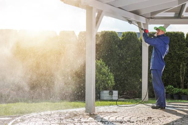Best Residential Exterior Washing  in Globe, AZ